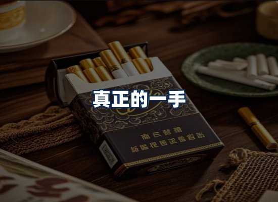 专业团队办公环境